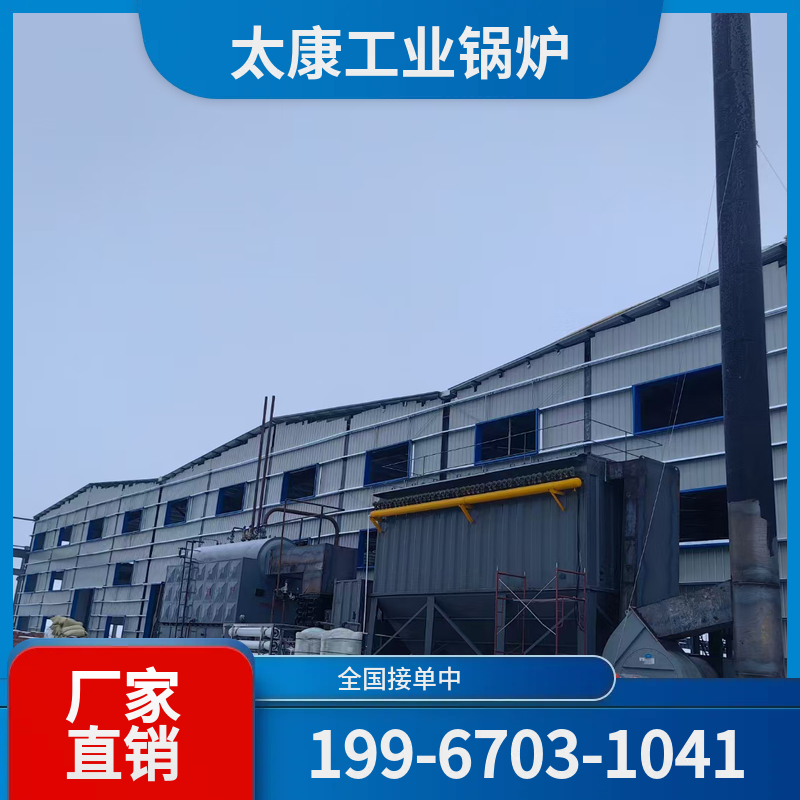 株洲生物质导热油锅炉